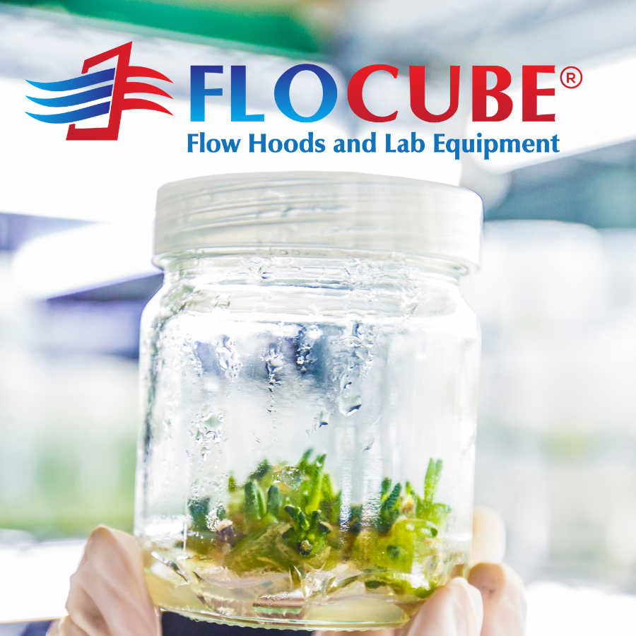 FloCube Lab Equipment For Plant Tissue Cultures